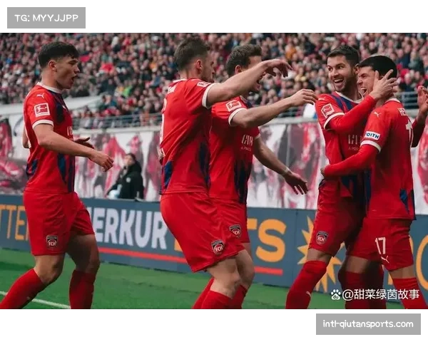 海登海姆对阵波鸿，上演升班马之间的对决